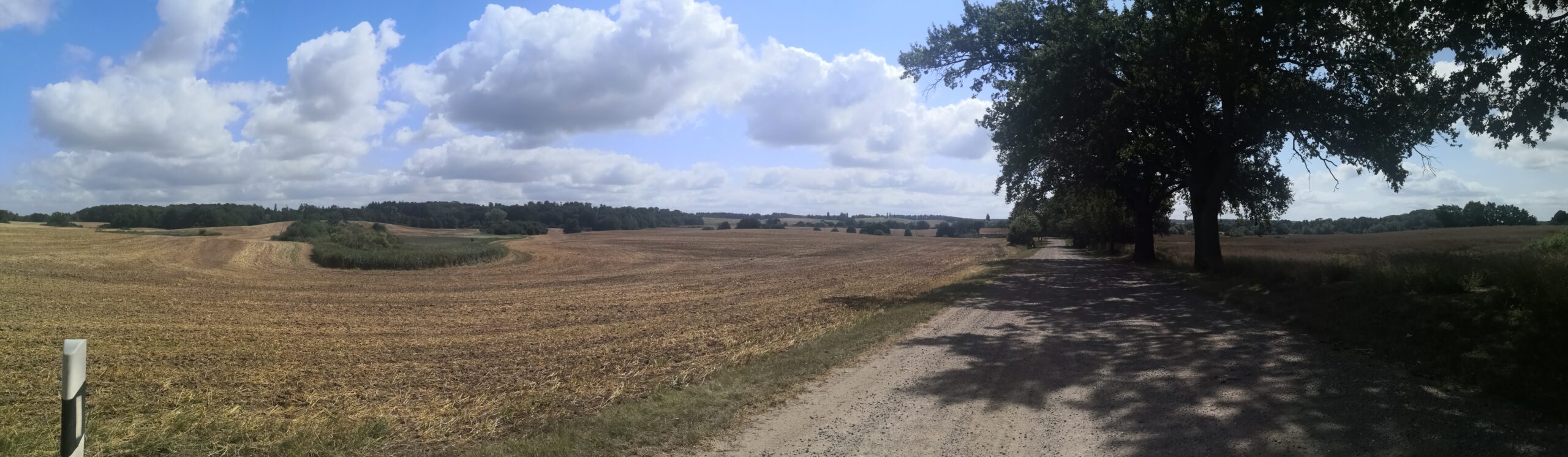 Blick in die hügelige Landschaft